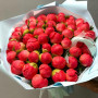 51 коралловый пион фото 3